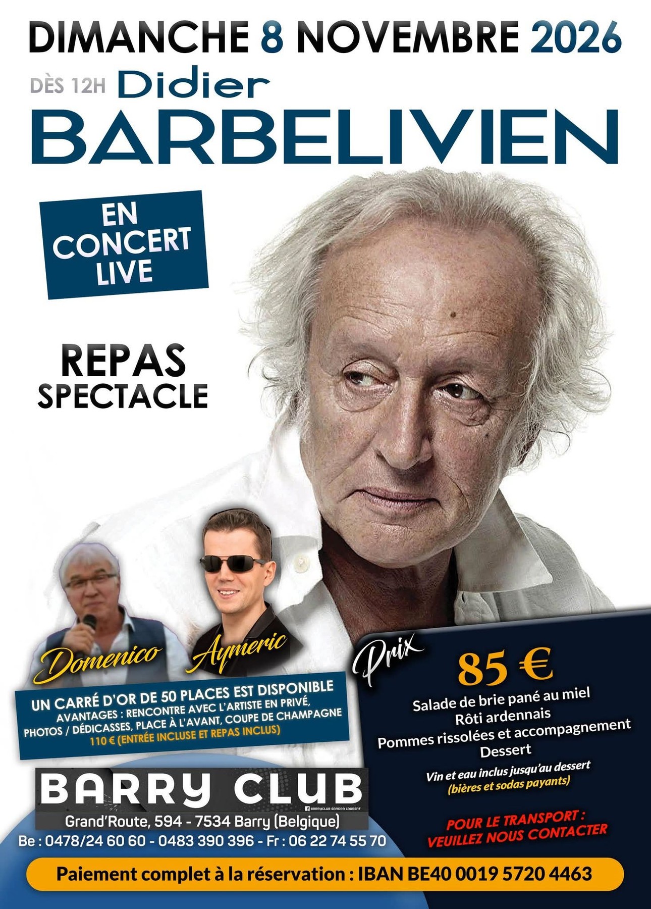 Affiche complète de Didier barbelivien