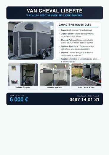 Van liberty gold 2 chevaux
